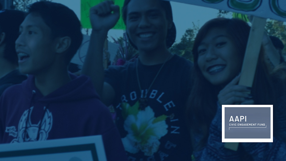 Asian American and Pacific Islander Civic Engagement Fund